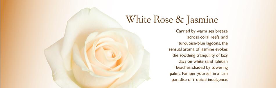 White Rose & Jasmine