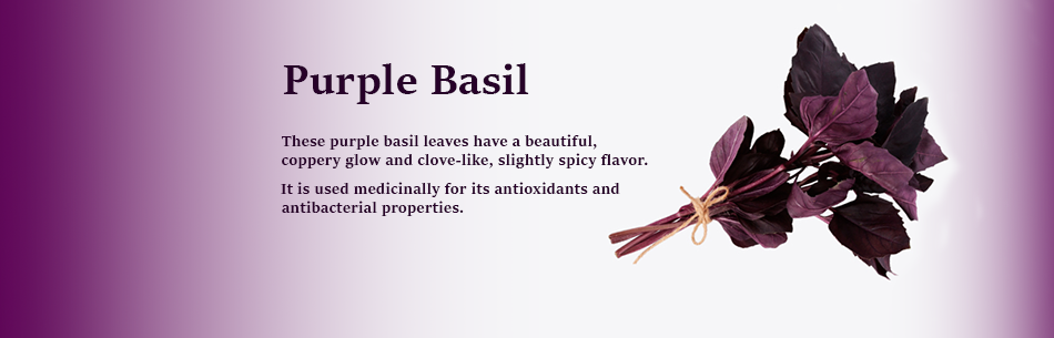 Purple Basil and Kale Splash