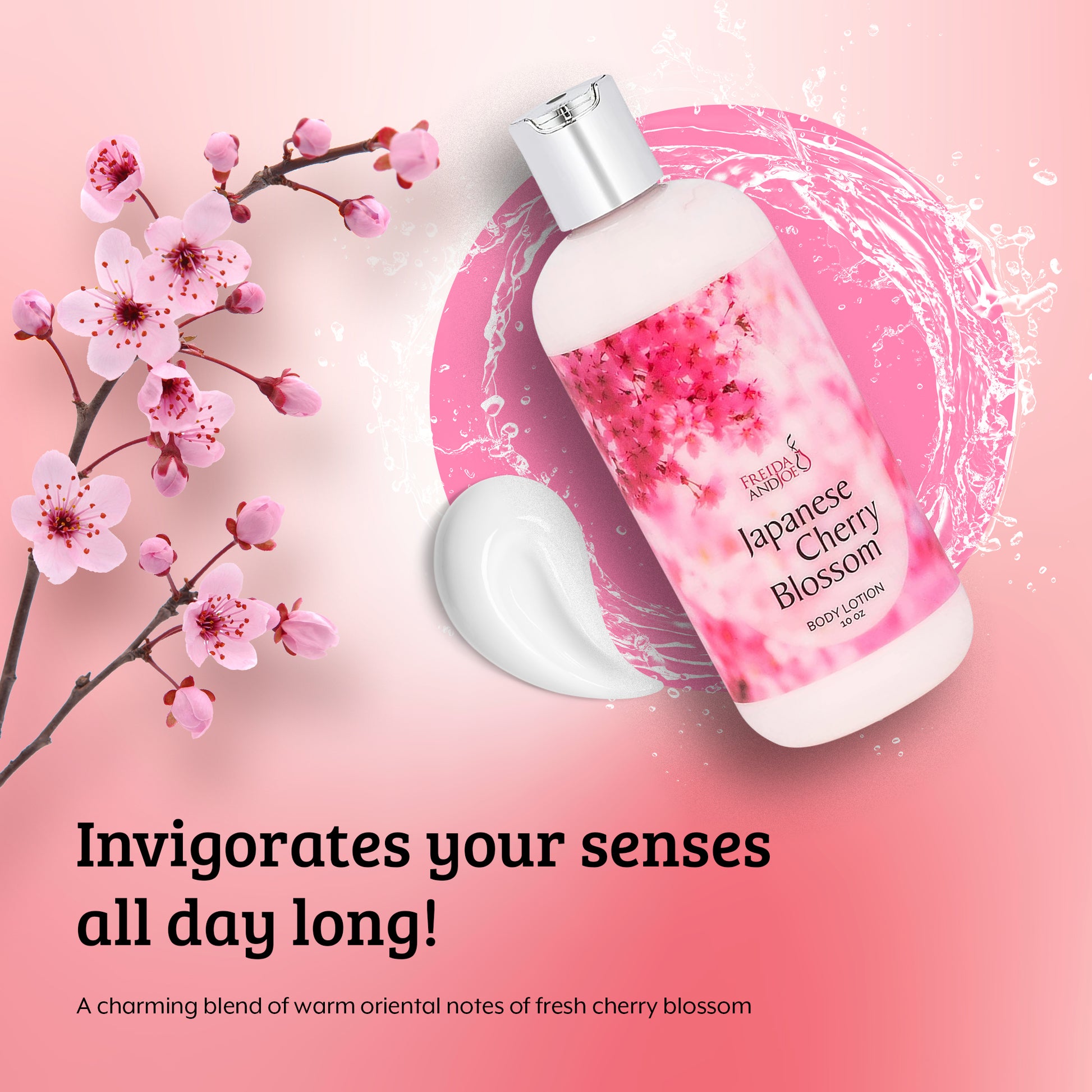 Japanese Cherry Blossom Fragrance Body Lotion in 10oz Bottle – Freida & Joe